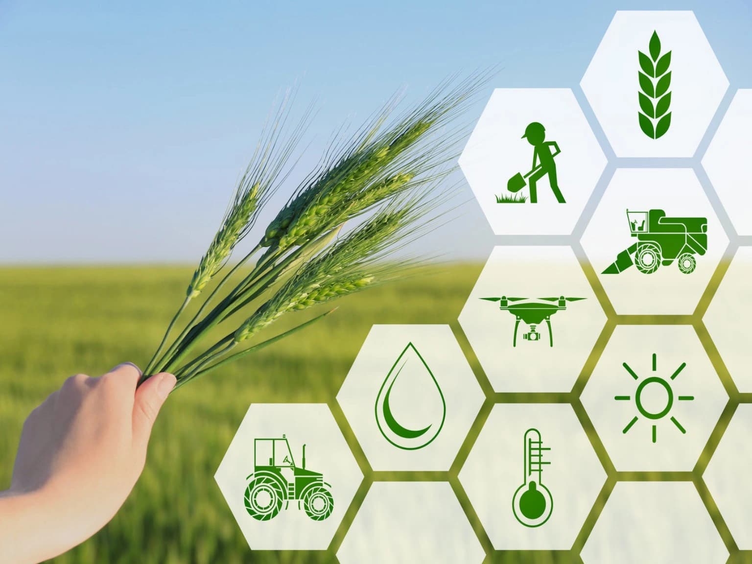 Agriculture & Rural Development