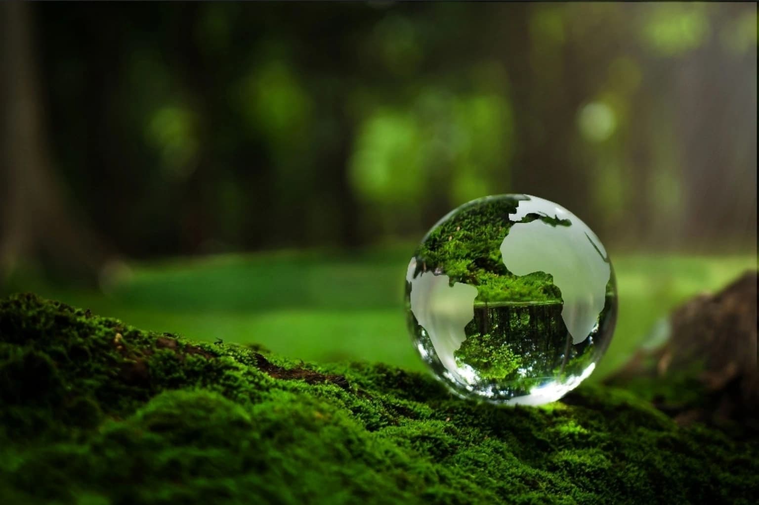 Climate Change & Sustainability
