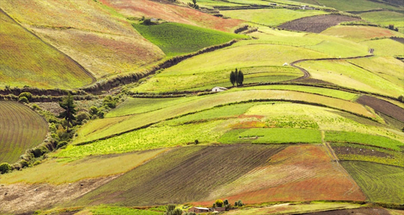 Land Administration & Governance